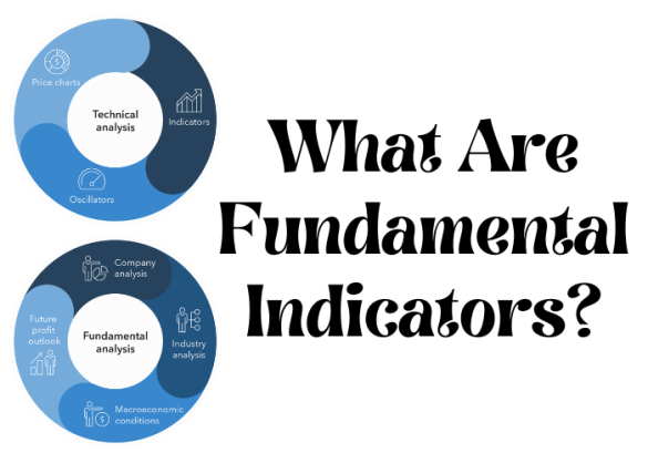 What are fundamental indicators